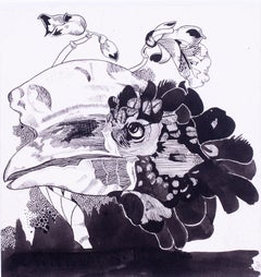 Early 20th Century British illustration of a hornbill bird by Edward Detmold