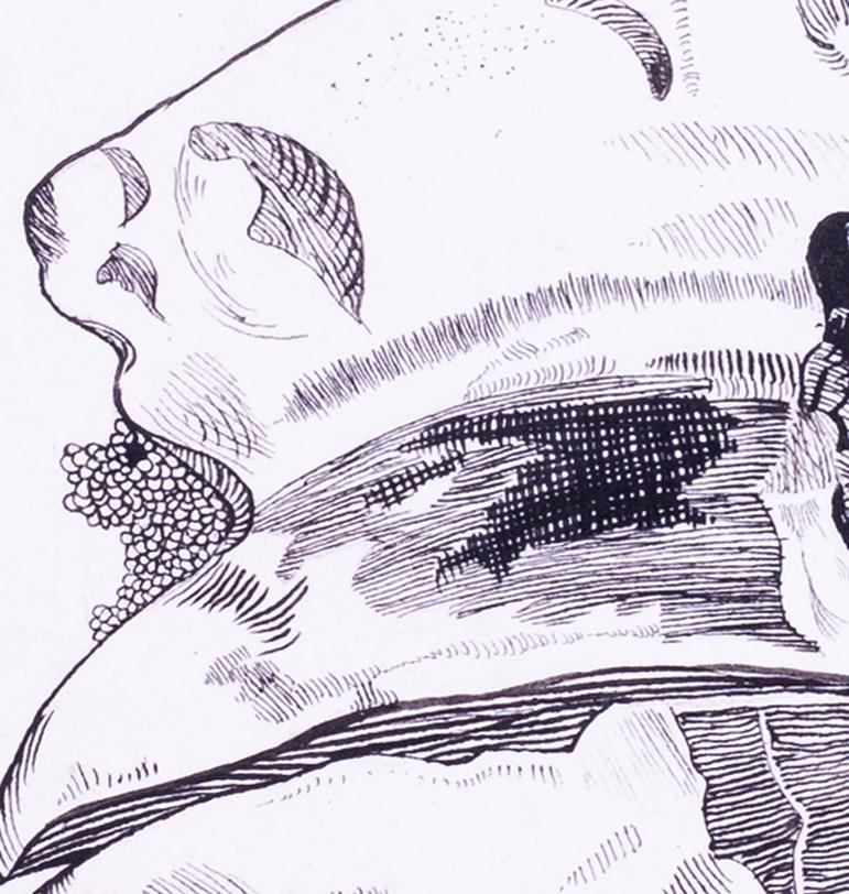 Edward Julius Detmold (britannique, 1883 - 1957)
Hornbill
Plume et encre sur papier
Signé avec les initiales 