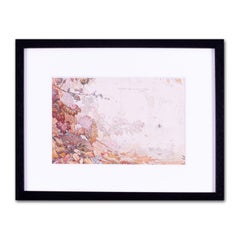 Early 20th Century illustration by Edward Julius Detmold 'Peace and Good Will'