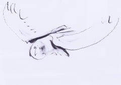 British St. Ives artist Sven Berlin 'Owl in flight' drawing, 20th Century
