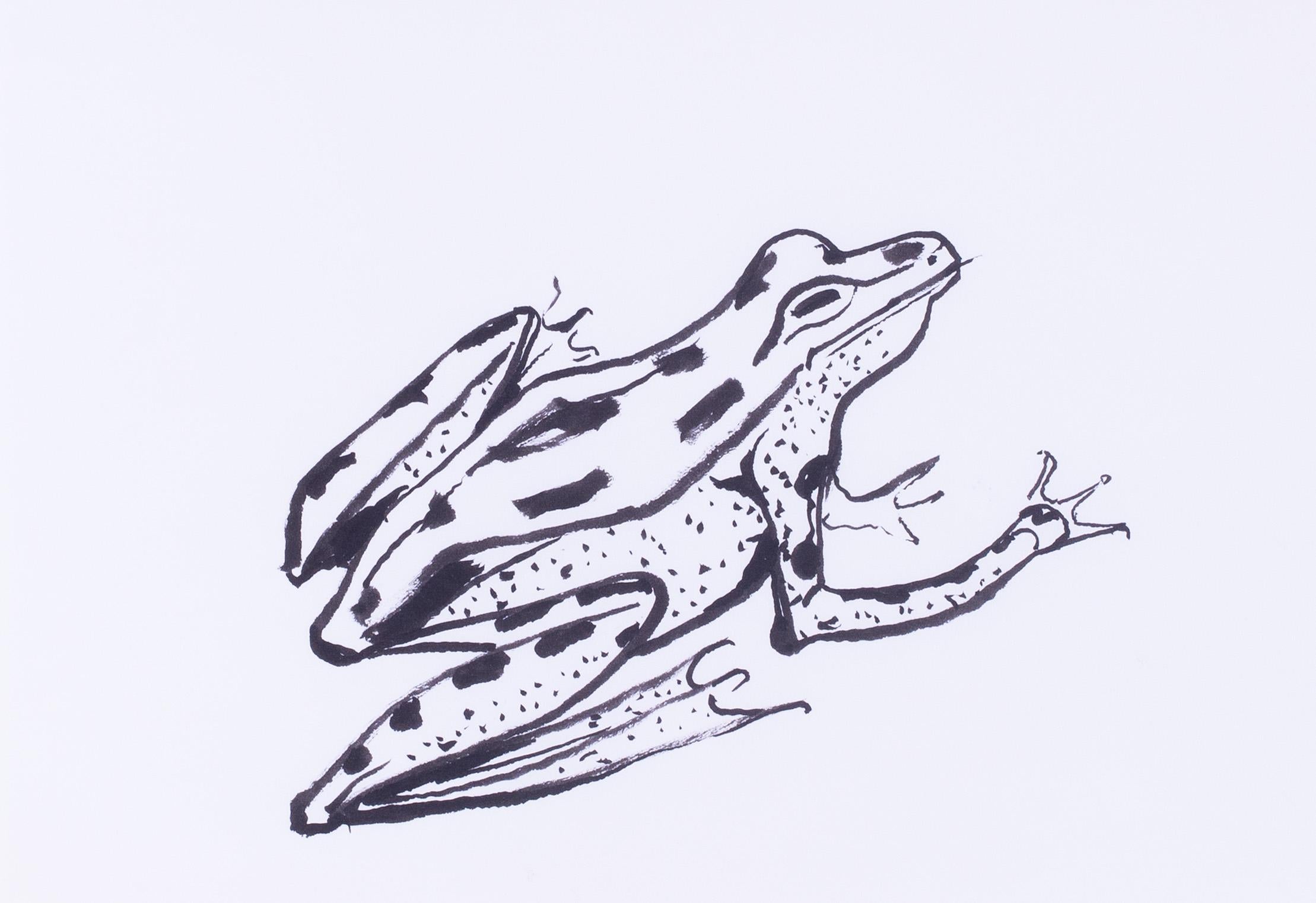 Sven Berlin (British, 1911 - 1999)
A toad
Pen and ink
7.7/8 x 11 in. (20 x 28 cm.)

Sven Berlin, born in Sydenham, London on 14th September 1911, was an English painter, draughtman and writer. He was a key player in the development of the St. Ives