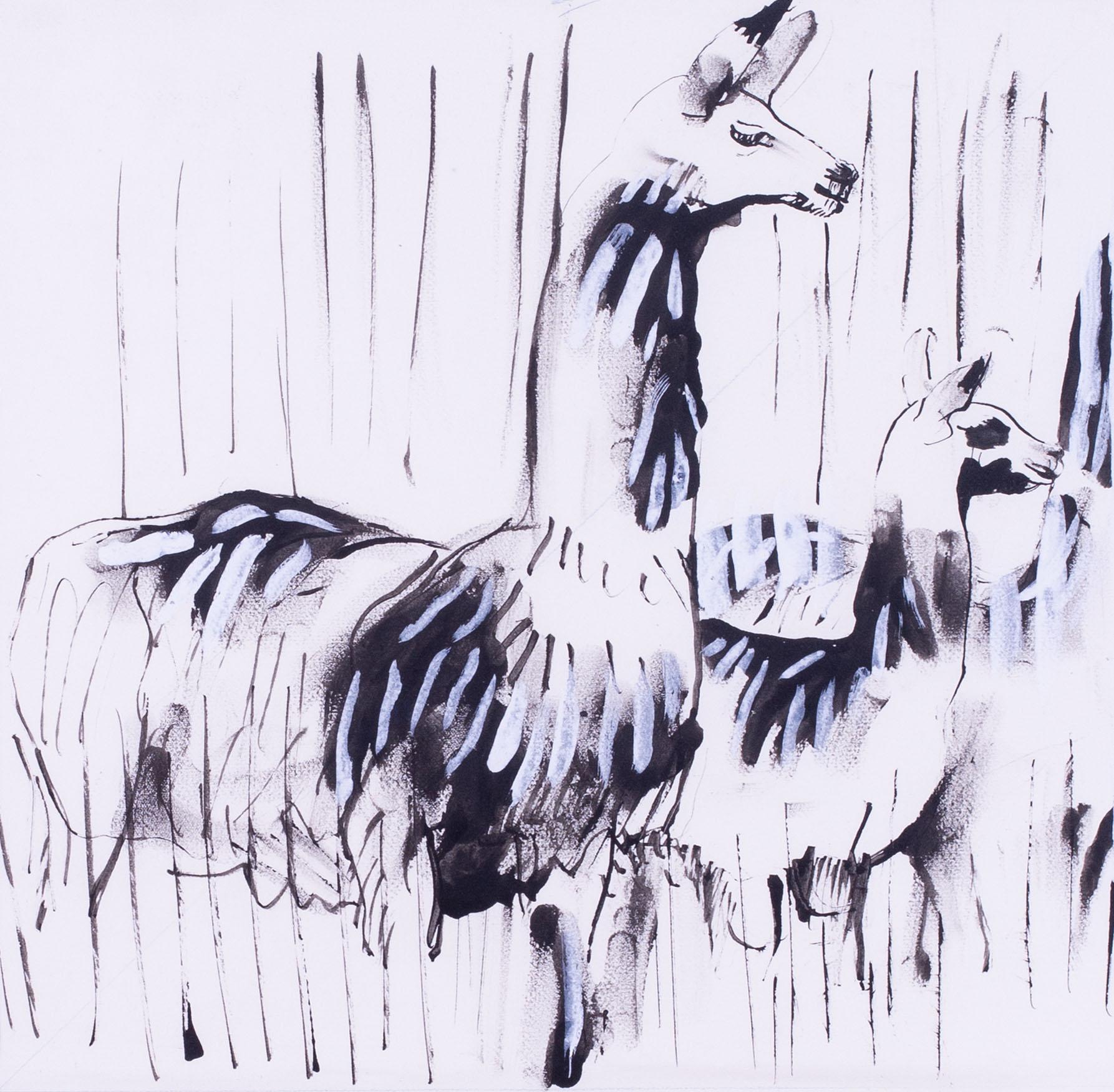 Alpaca von Sven Berlin, moderner britischer Künstler, Schule von St. Ives, Zeichnung im Angebot 1