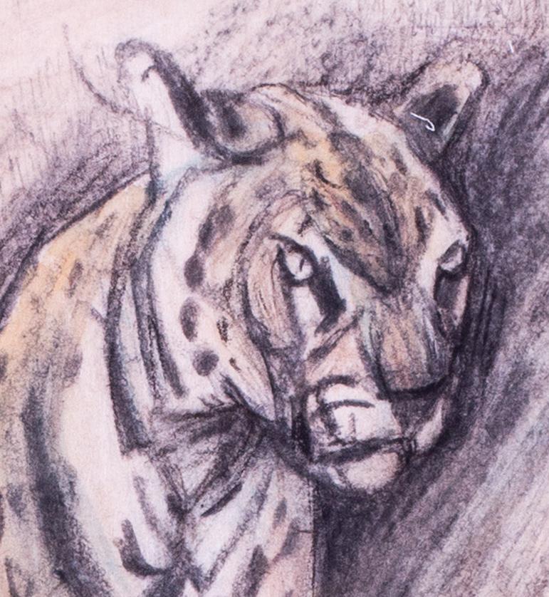 British 20th Century Charcoal and crayon drawing of a seated leopard - Art by Elsie Marian Henderson