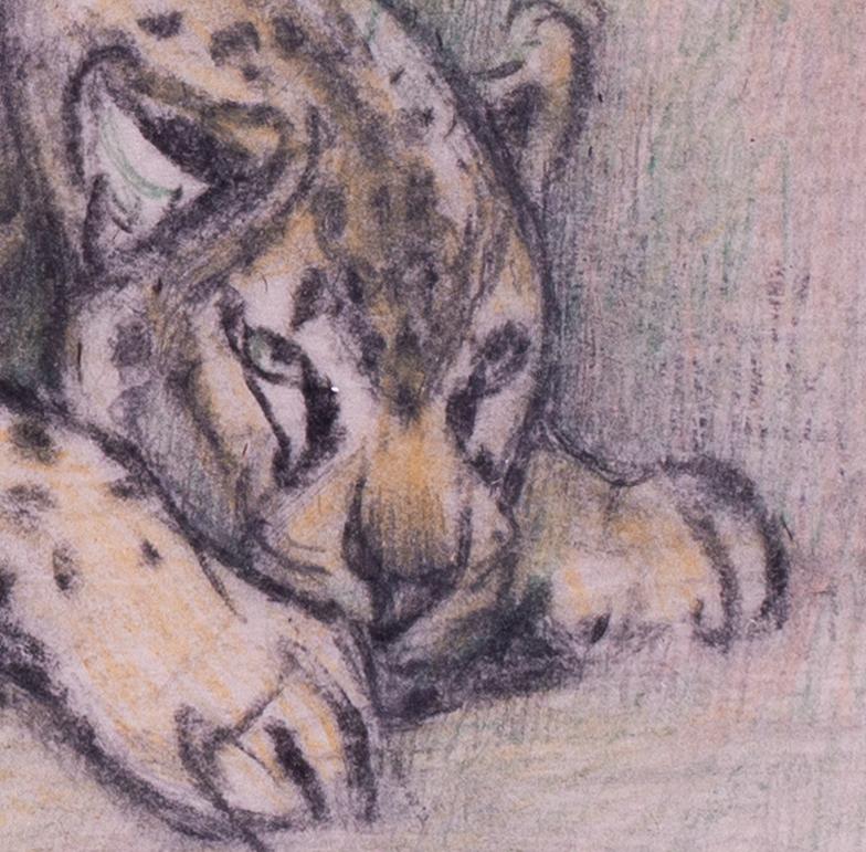 Crouching Leopard drawing by British 20th Century artist Elsie Marian Henderson For Sale 3