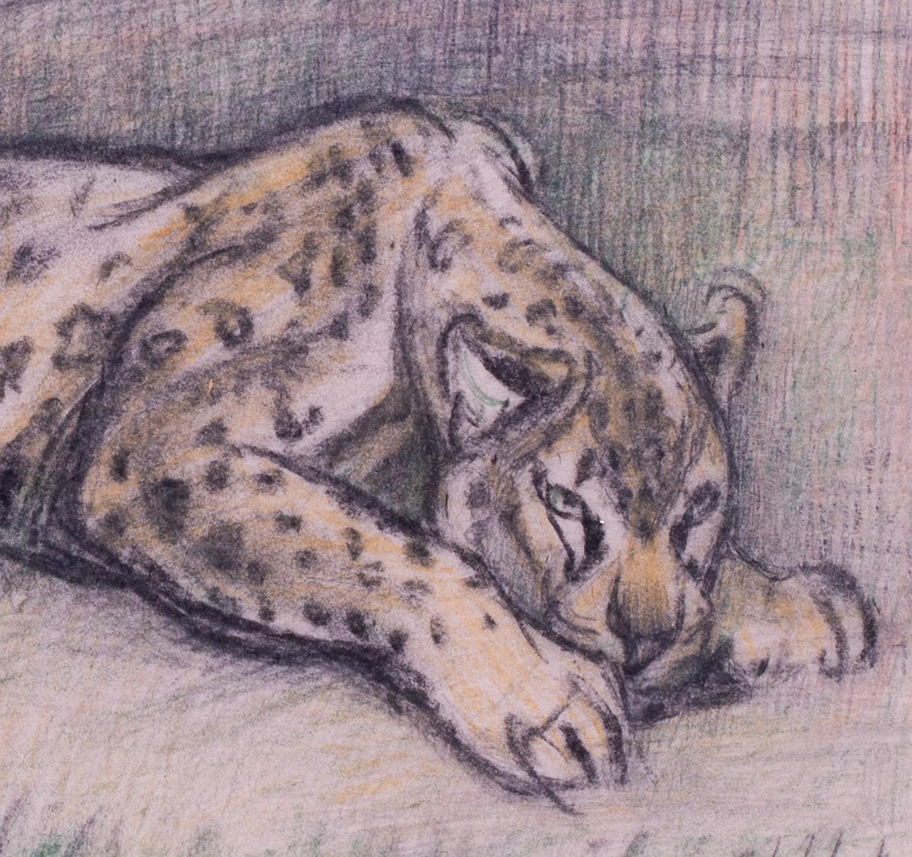 Crouching Leopard drawing by British 20th Century artist Elsie Marian Henderson For Sale 5