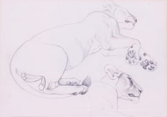 Joy Adamson, author of 'Born Free', pencil drawing of a lioness, with provenance