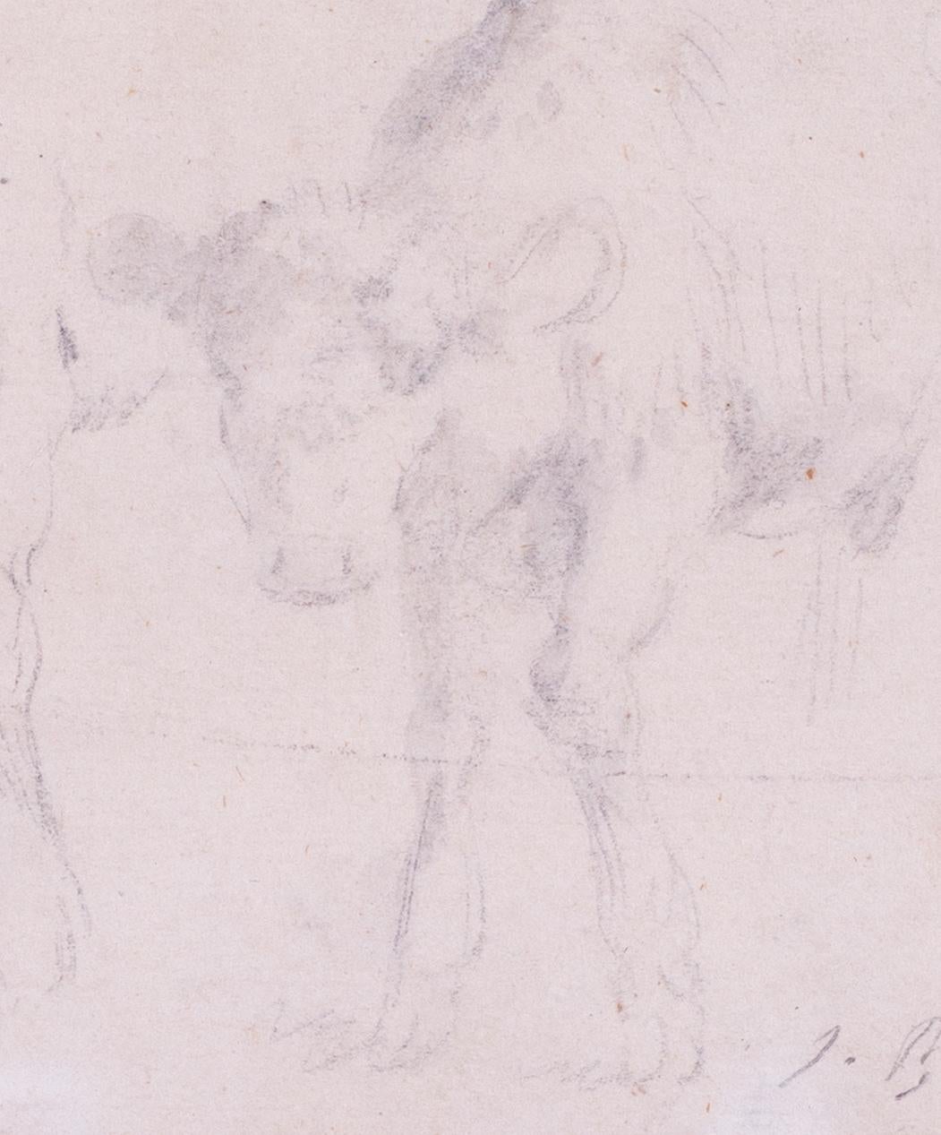 Étude au crayon de l'artiste français Jean Baptiste Huet du 18ème siècle représentant des vaches en vente 3