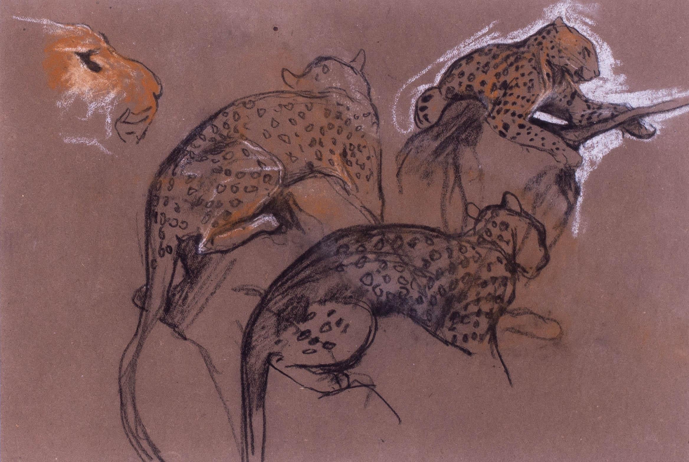 Pair of early 20th Century studies of cheetah's by British artist Arthur Wardle For Sale 3