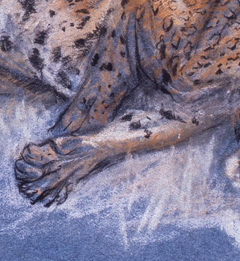 Coppia di studi di ghepardi dell'inizio del XX secolo dell'artista britannico Arthur Wardle 3
