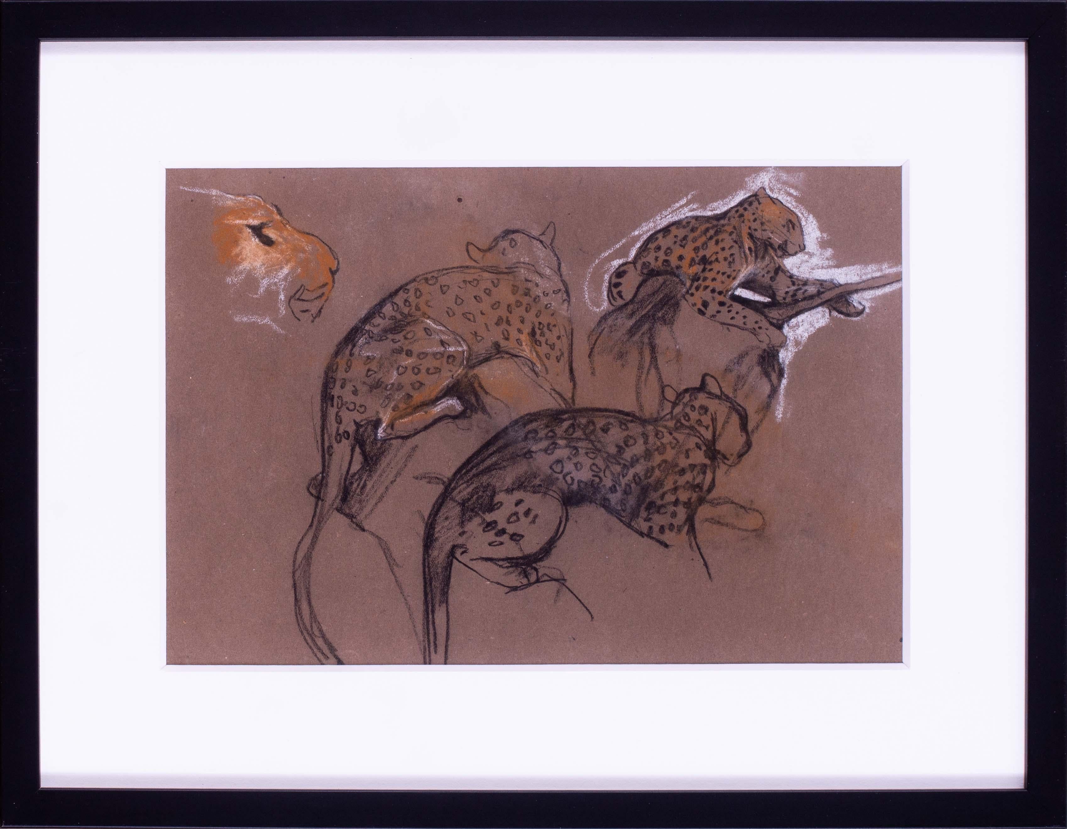 Paire d'études de guépards du début du 20e siècle par l'artiste britannique Arthur Wardle en vente 1