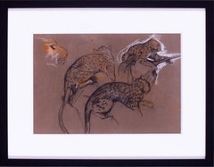 Pair of early 20th Century studies of cheetah's by British artist Arthur Wardle