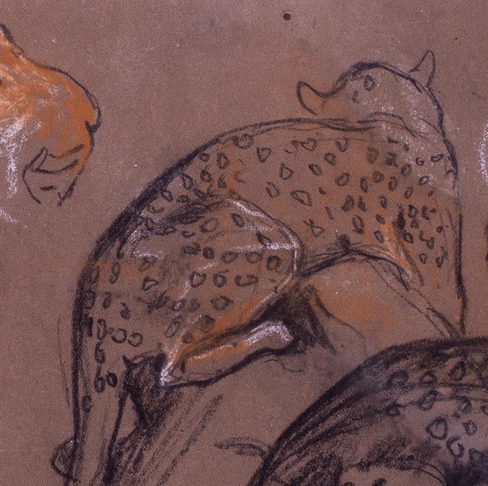 Pair of early 20th Century studies of cheetah's by British artist Arthur Wardle For Sale 9
