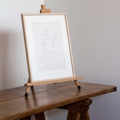 Original Dora Maar, (Picasso's muse) fine ink drawing of herbs, 1998