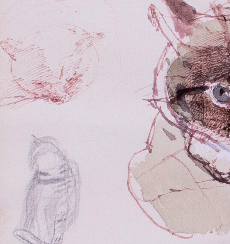 'Studies of a tabby cat', mixed media on paper by British artist John Sergeant For Sale 4
