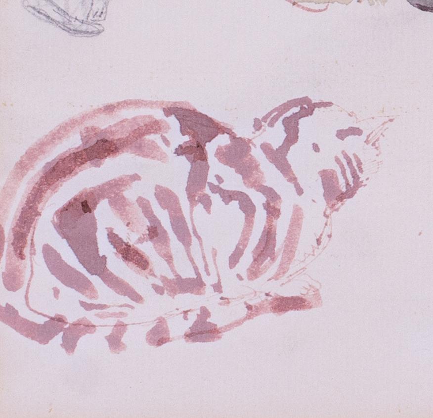 'Studies of a tabby cat', mixed media on paper by British artist John Sergeant For Sale 3