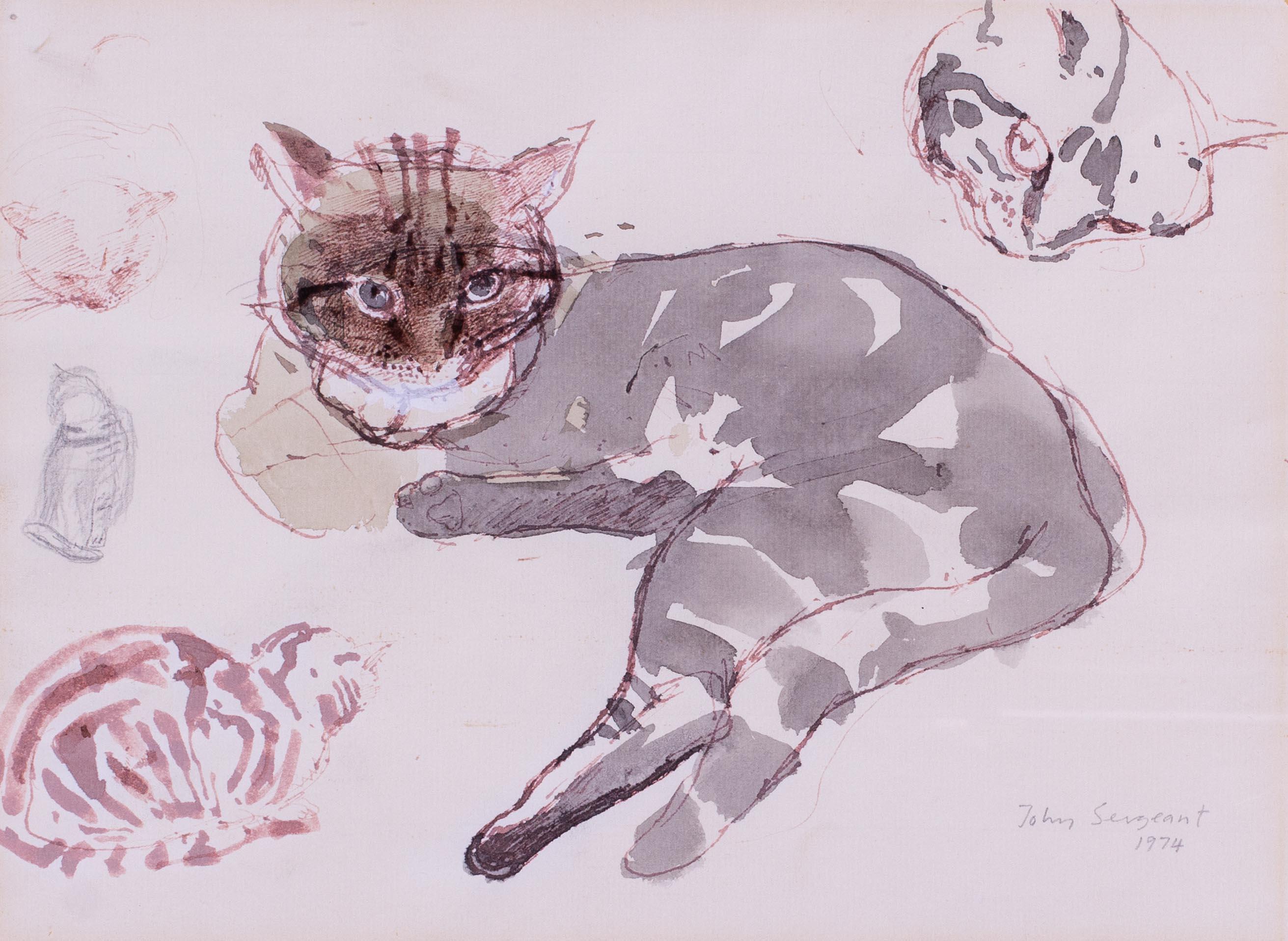 'Studies of a tabby cat', mixed media on paper by British artist John Sergeant For Sale 1