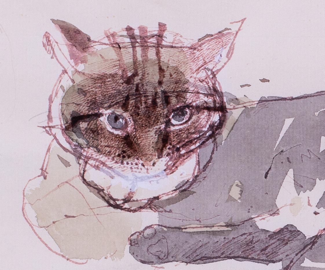 'Studies of a tabby cat', mixed media on paper by British artist John Sergeant For Sale 2