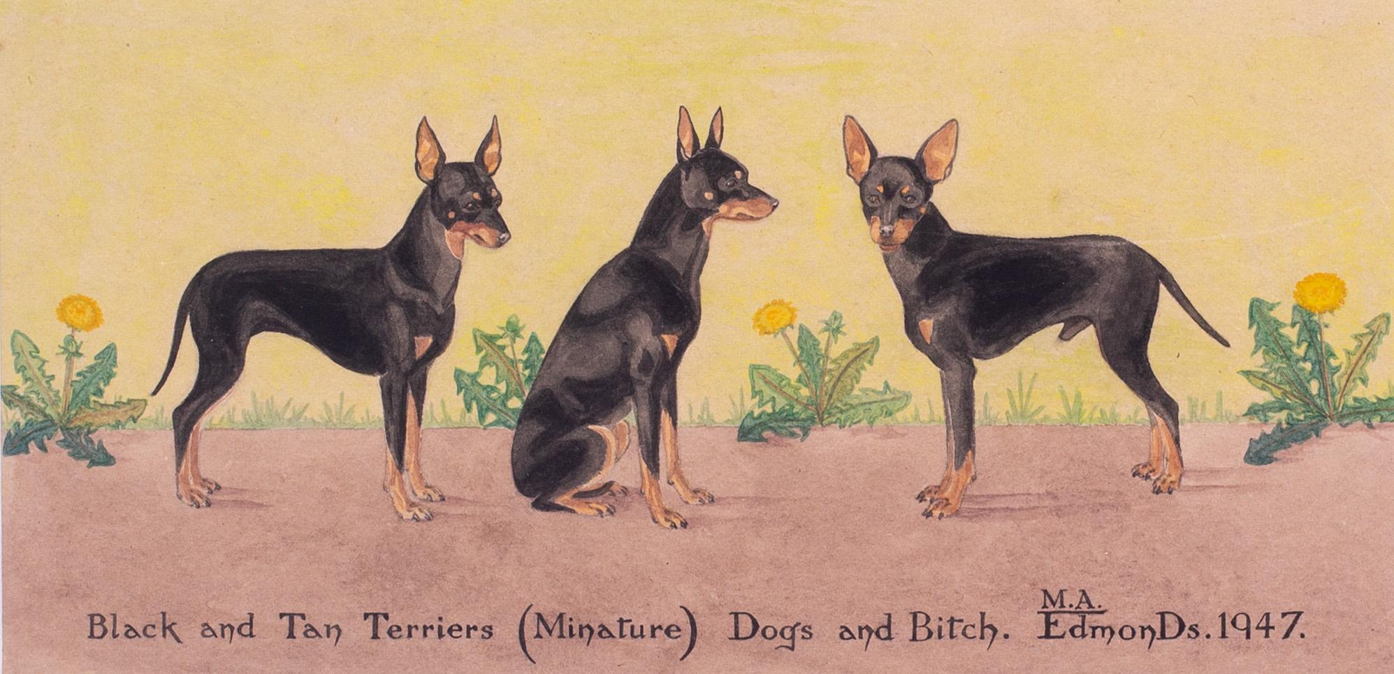 British mid century watercolour and pen drawing of black and tan terrier dogs - Art by Mona Alizon Edmonds