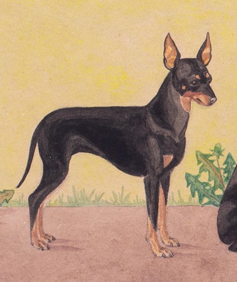 Britische Aquarell- und Federzeichnung schwarzer und brauner Terrierhunde aus der Mitte des Jahrhunderts (Beige), Animal Art, von Mona Alizon Edmonds
