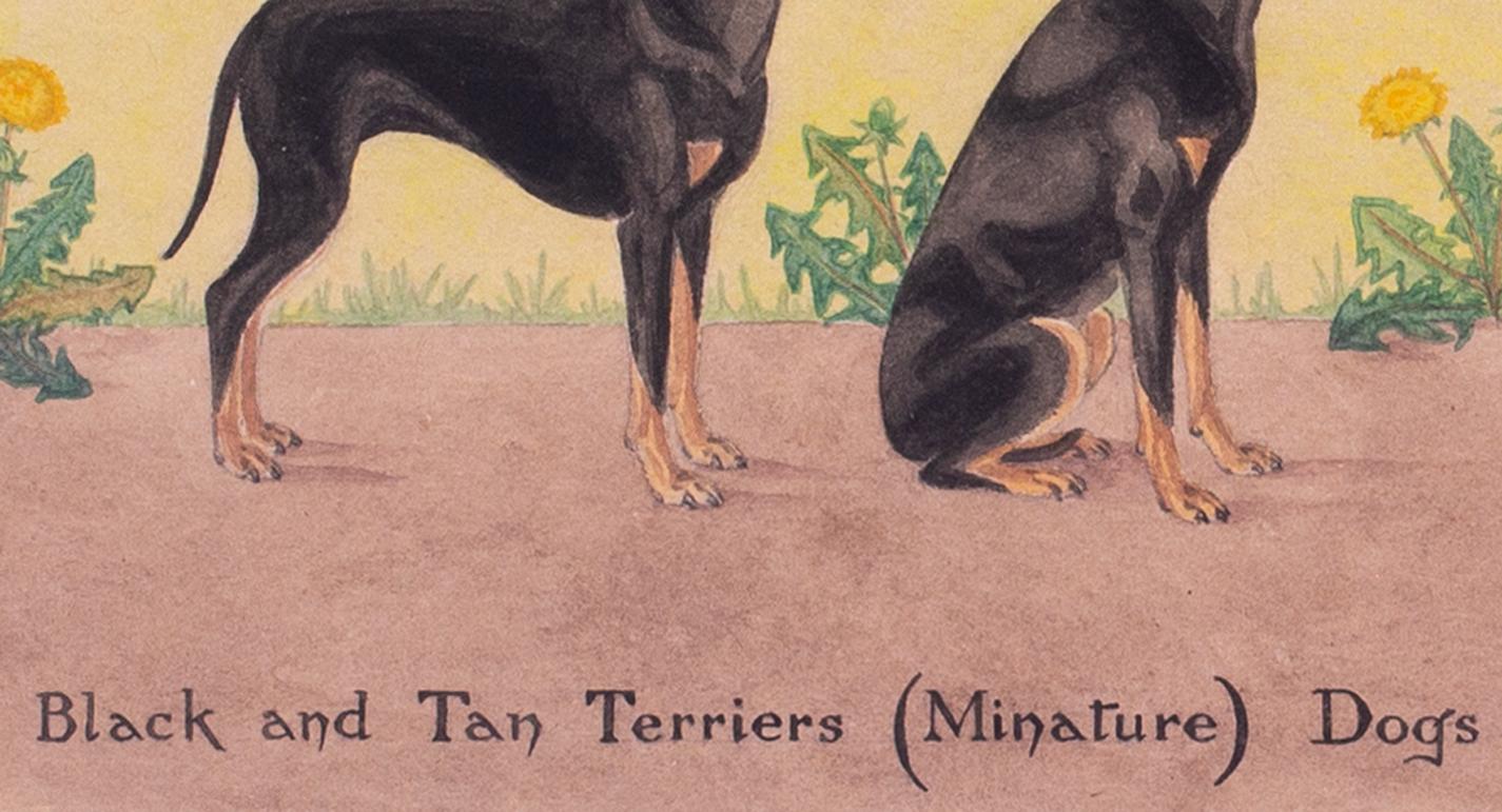 British mid century watercolour and pen drawing of black and tan terrier dogs For Sale 2