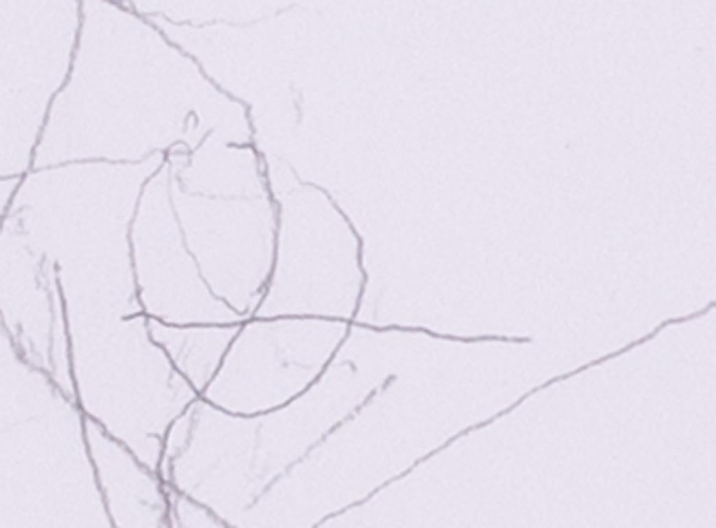 1988 disegno a matita dell'artista britannico del XX secolo William Scott in vendita 2