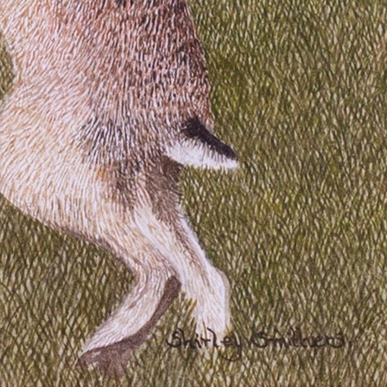 Aquarelle britannique du 20e siècle ou March Hares de Shirley Smithers en vente 4