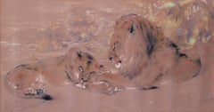 Lions at rest