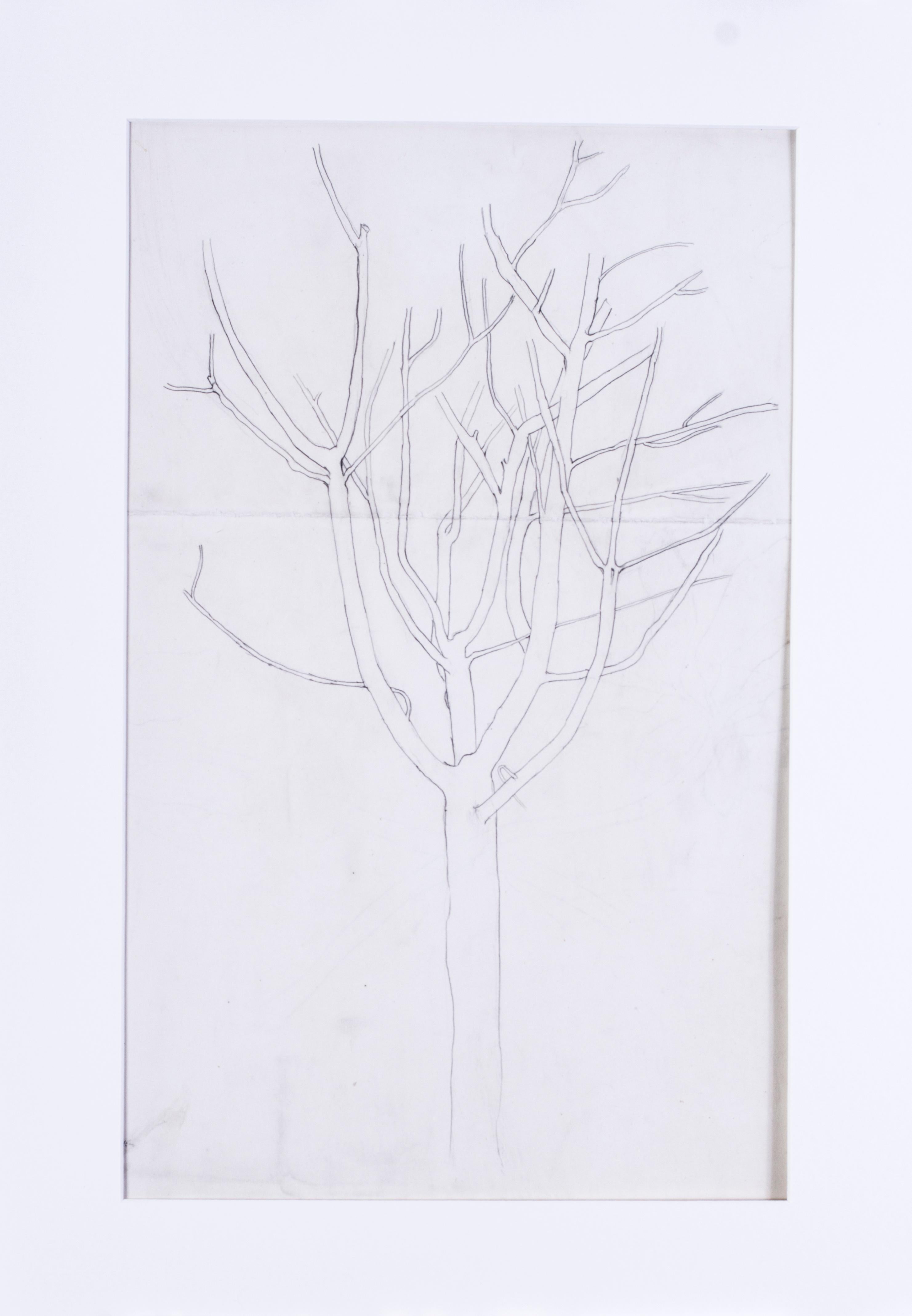 „Study of a tree“ von Evelyn de Morgan, präraffaelitische, britische Wurzelholzskulptur, 20. Jahrhundert im Angebot 3