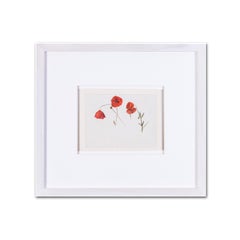 Pre-Raphaelite, British turn of the 20th Century 'poppies' by Evelyn de Morgan