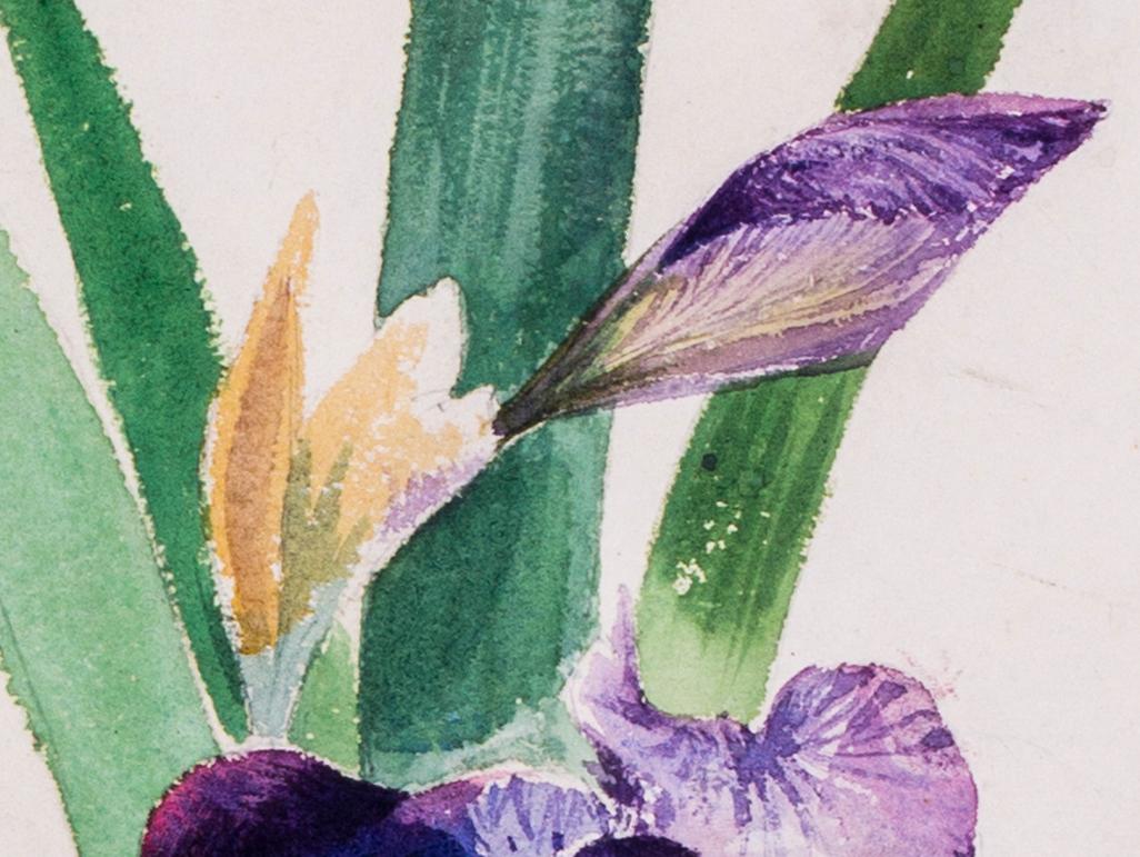 Evelyn De Morgan (British, 1855 – 1919)
Irises
Watercolour on paper stabilised on card
11 x 8 in. (28 x 20.3 cm.) (an irregular cut of paper)
Provenance: The Clayton-Stamm Collection.  
Dominic Winter, Cirencester, 8th November 2018, lot 464

Evelyn