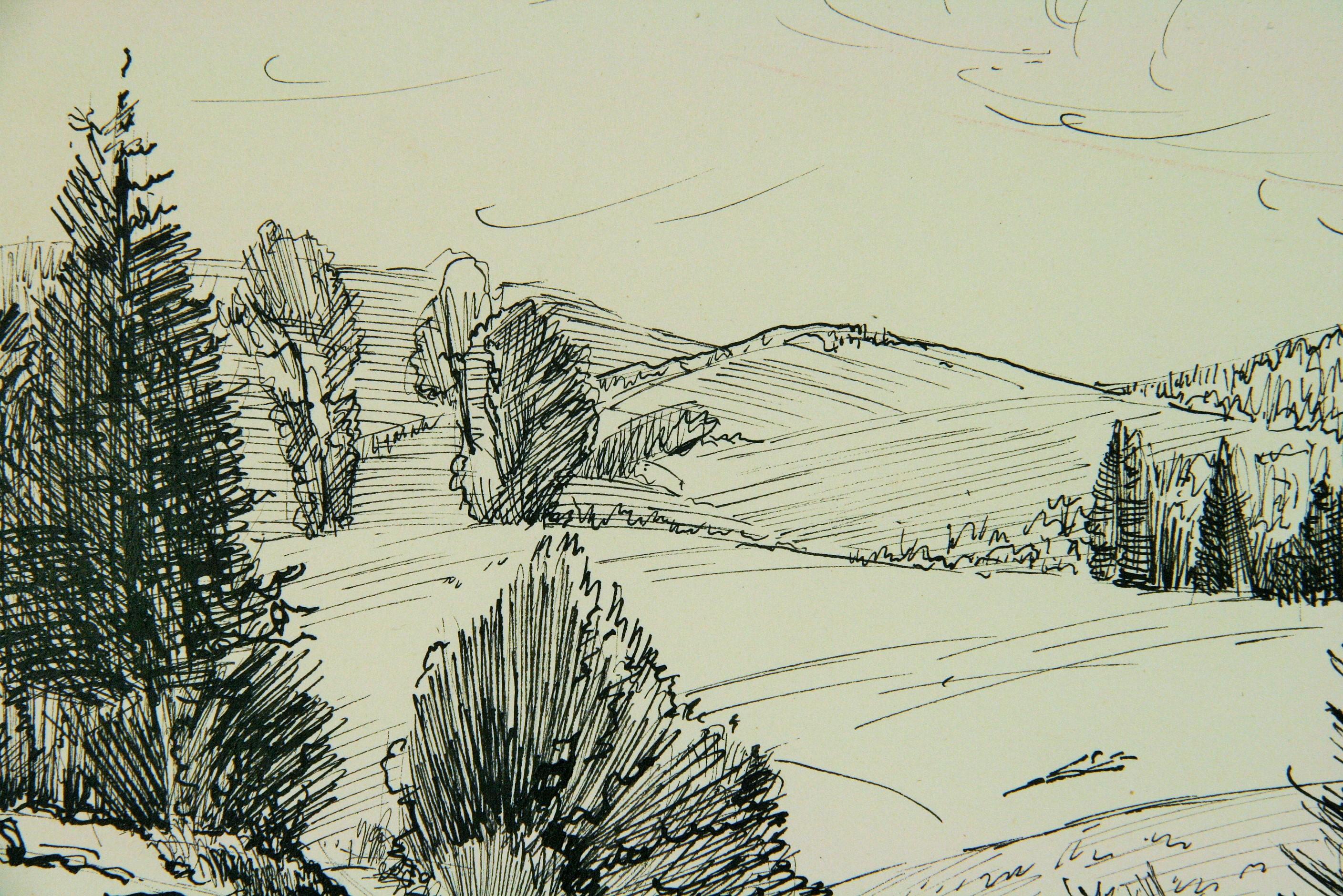French Countryside Landscape Pen and Ink - Gray Landscape Art by Maurice Falliès