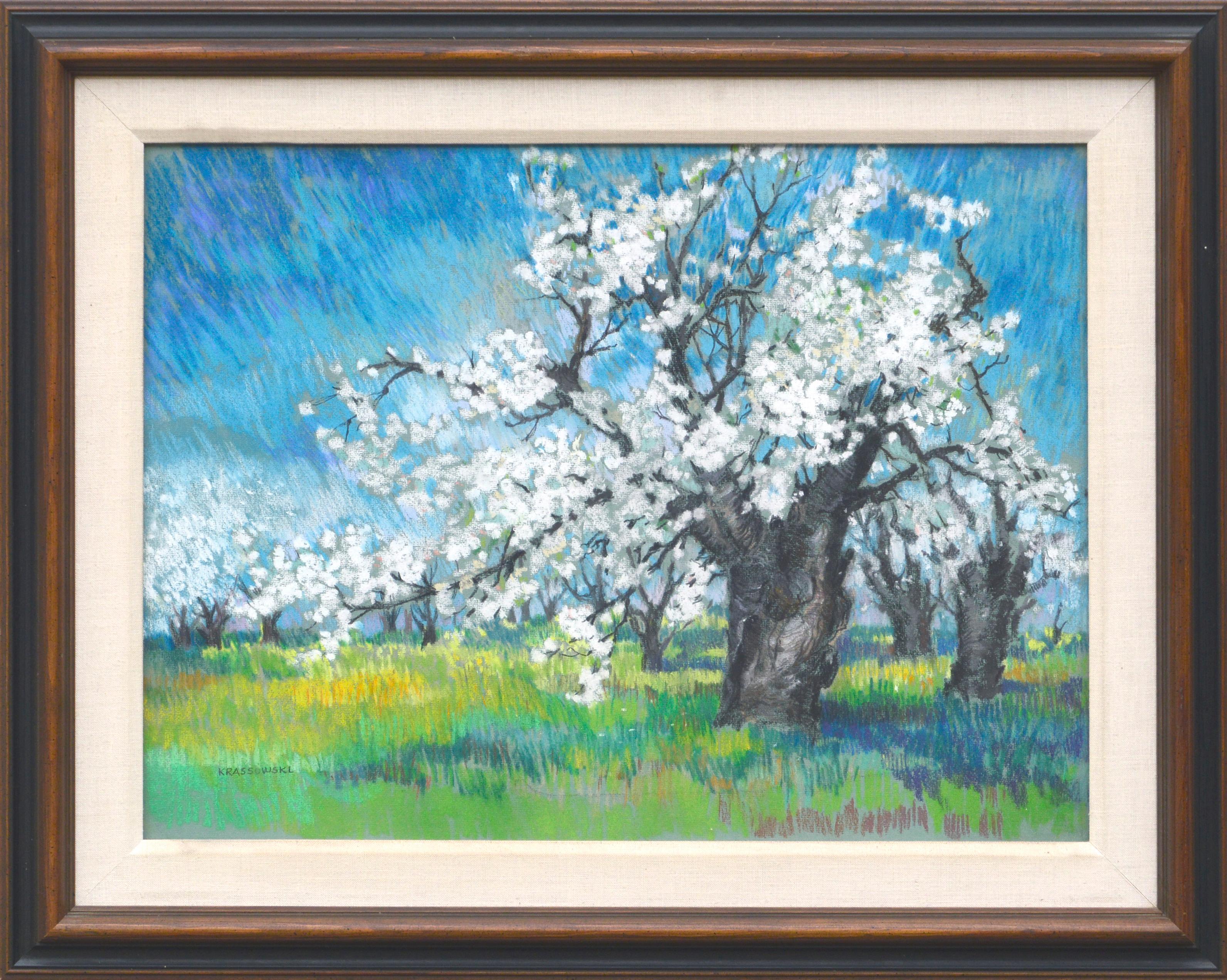 Therese Nolan Krassowski Landscape Art - Cherry Blossoms Landscape