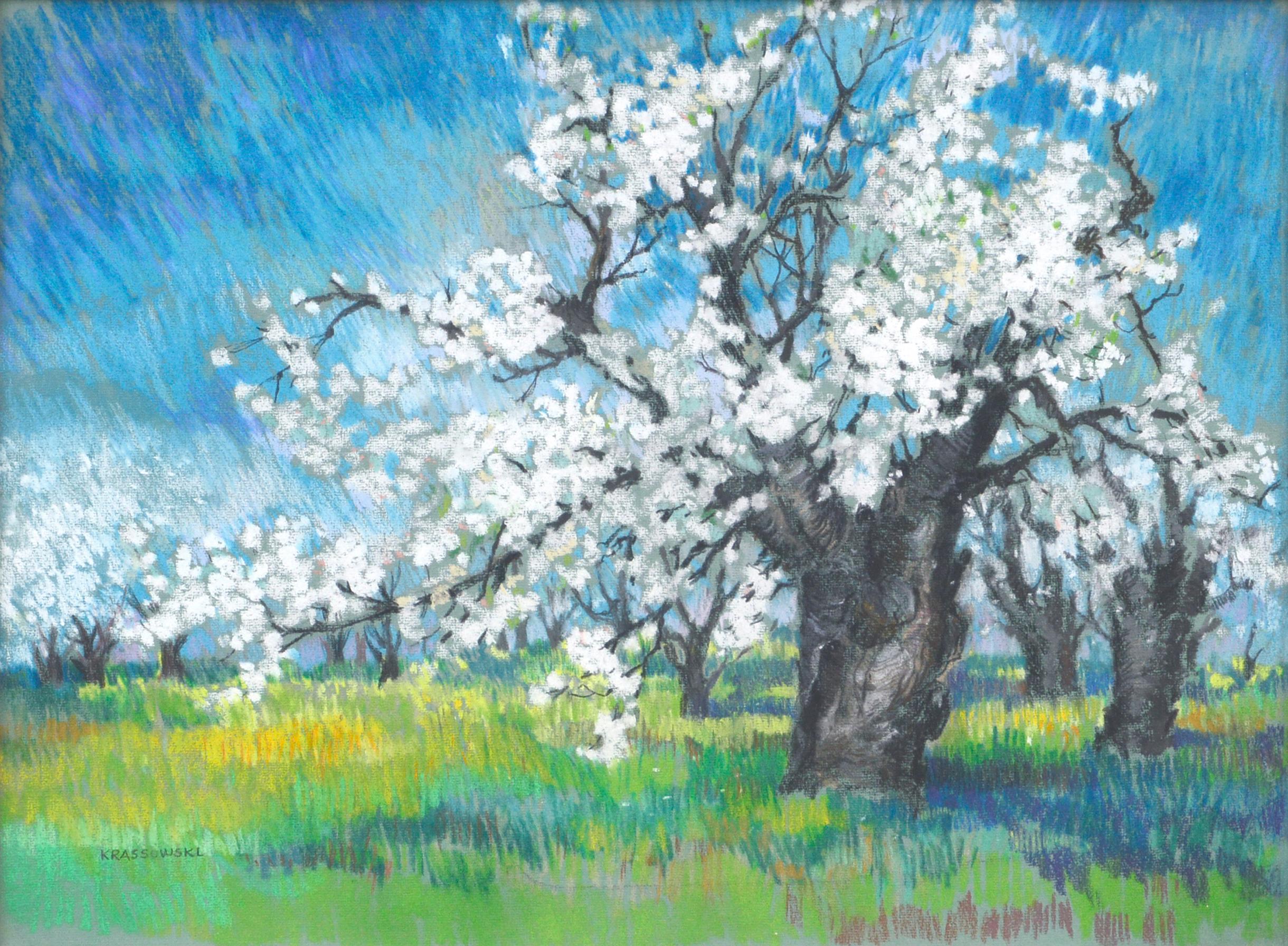 Cherry Blossoms Landscape - Art by Therese Nolan Krassowski