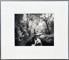 Saratoga Battlefield Creek - Signed Black & White Landscape Photograph