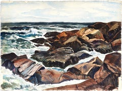 Ocean Study and Rocks Seascape