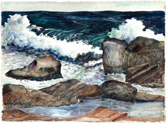 Stormy Rocky Coast Seascape 