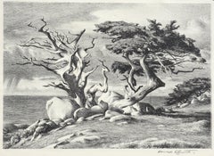The Veteran Cypress, Carmel Landscape