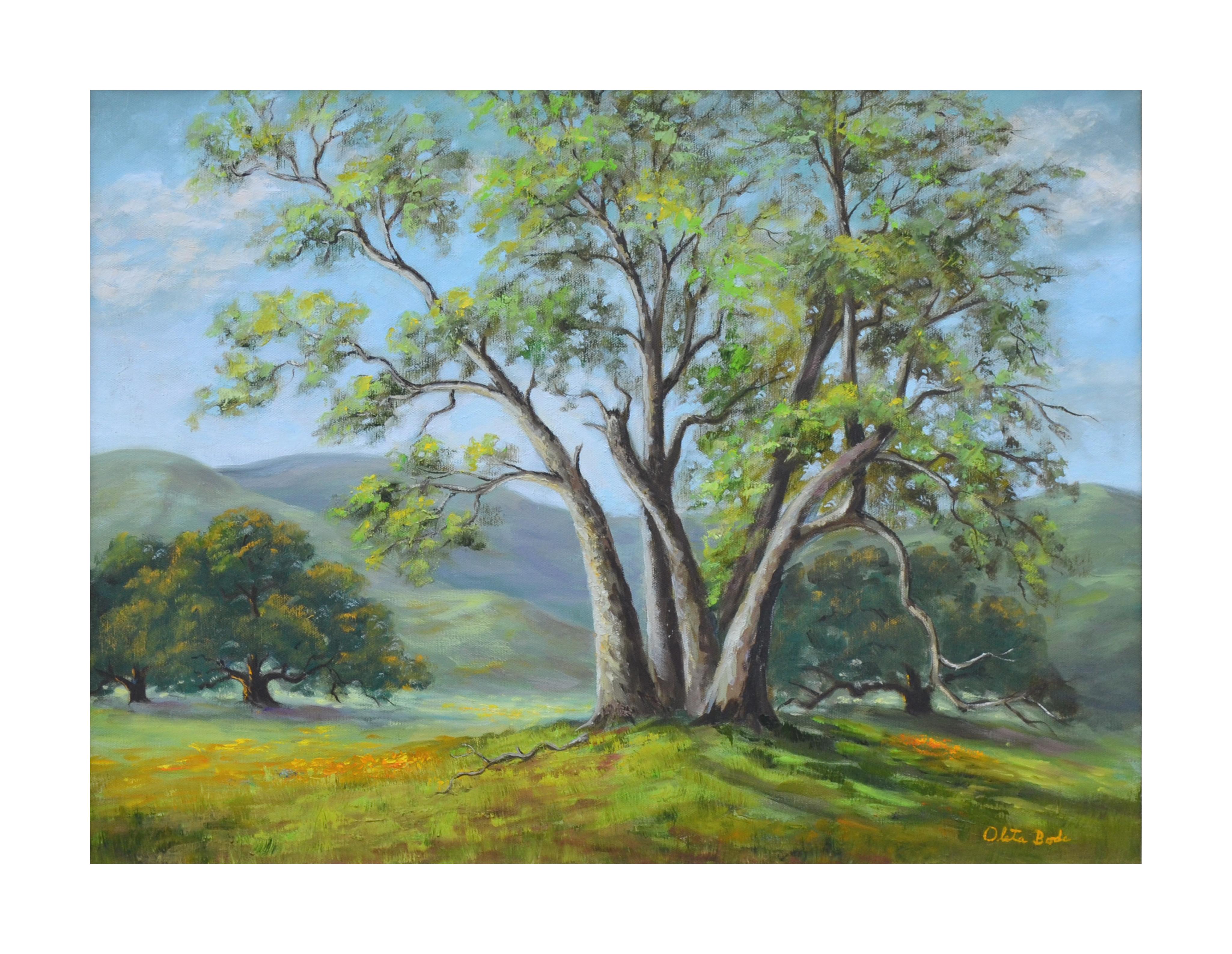 Kalifornienische Eiche in Frühlingslandschaft – Painting von Oleta Naomi Bode