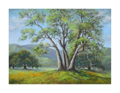 California Oaks in Spring Landscape