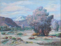 Paisaje desértico de Palm Springs de mediados de siglo con árbol de humo