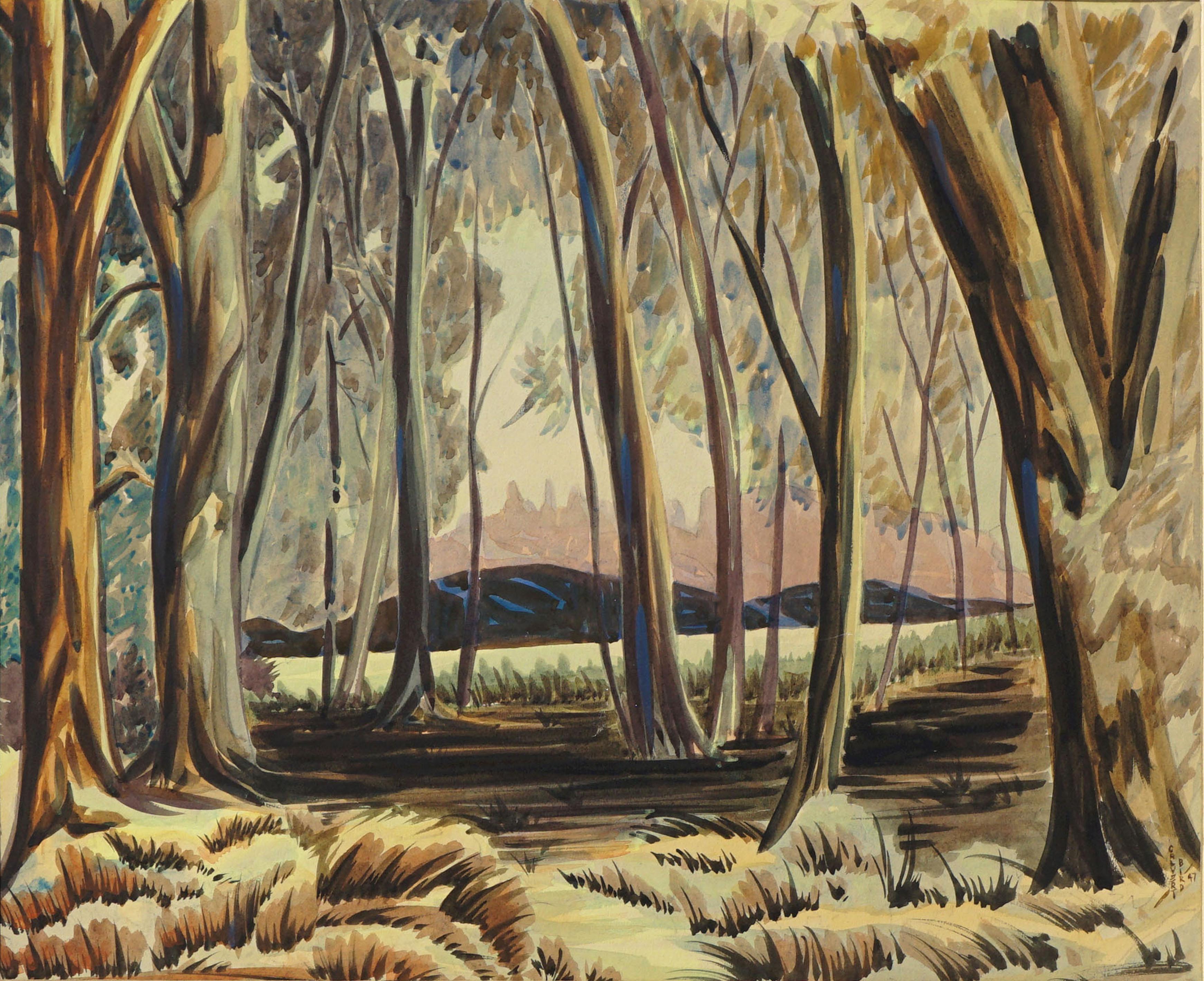 Eucalyptus Tree Grove - Mid Century Forest Landscape  - Painting by Calvert Bird