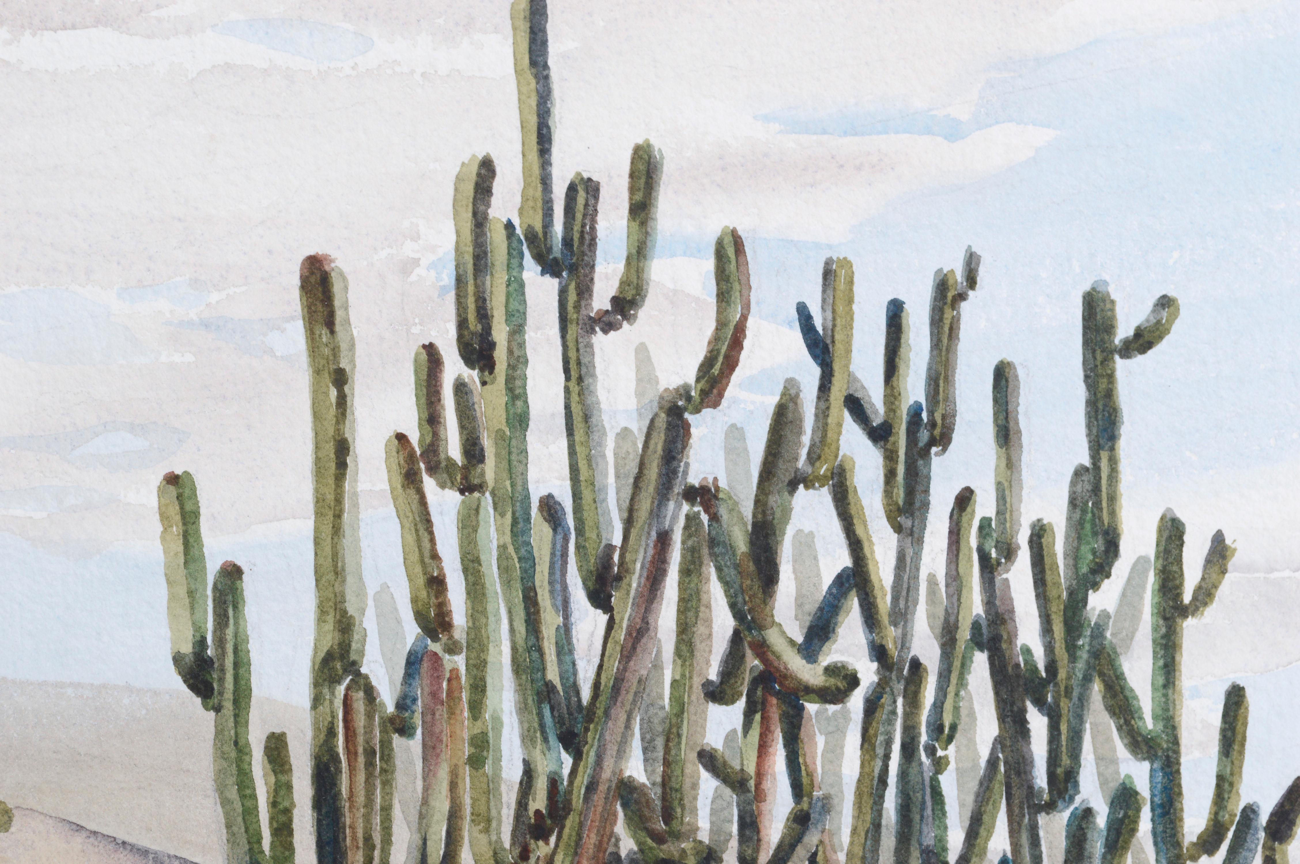 cacti landscape
