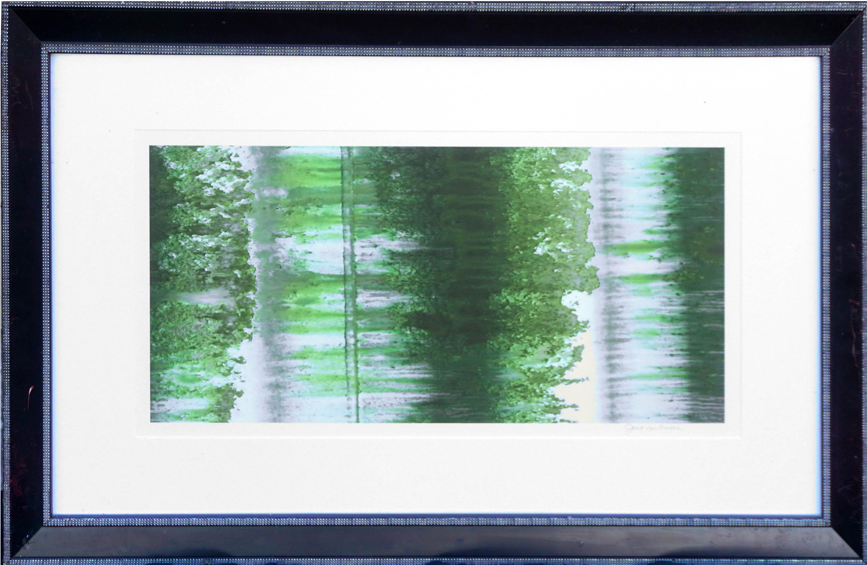 Janet Van Arsdale Abstract Photograph - Green Abstracted Ikat Photograph