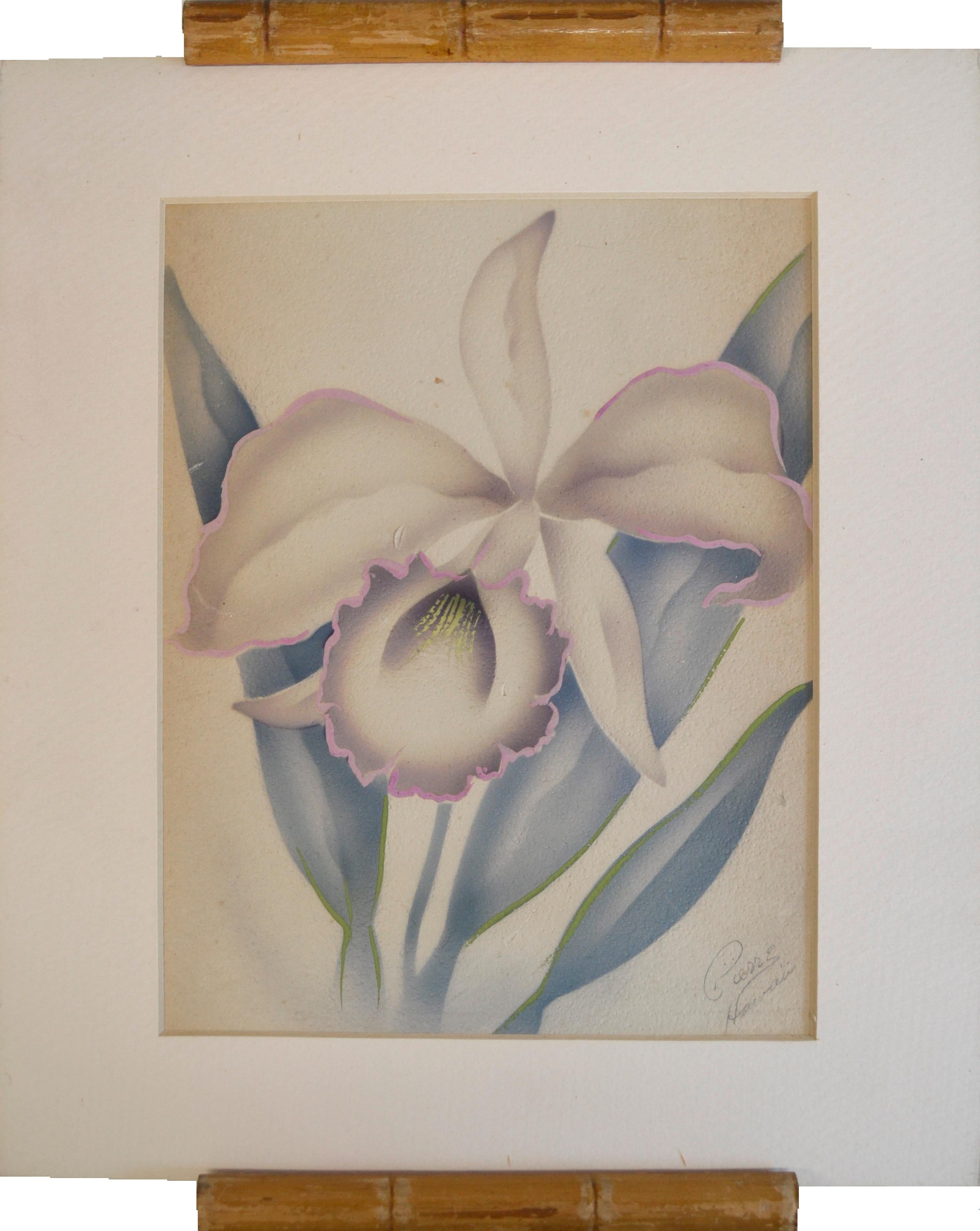 Pierre Still-Life Painting - Mid Century Art Deco Hawaiian Orchid Watercolor, Floral Study