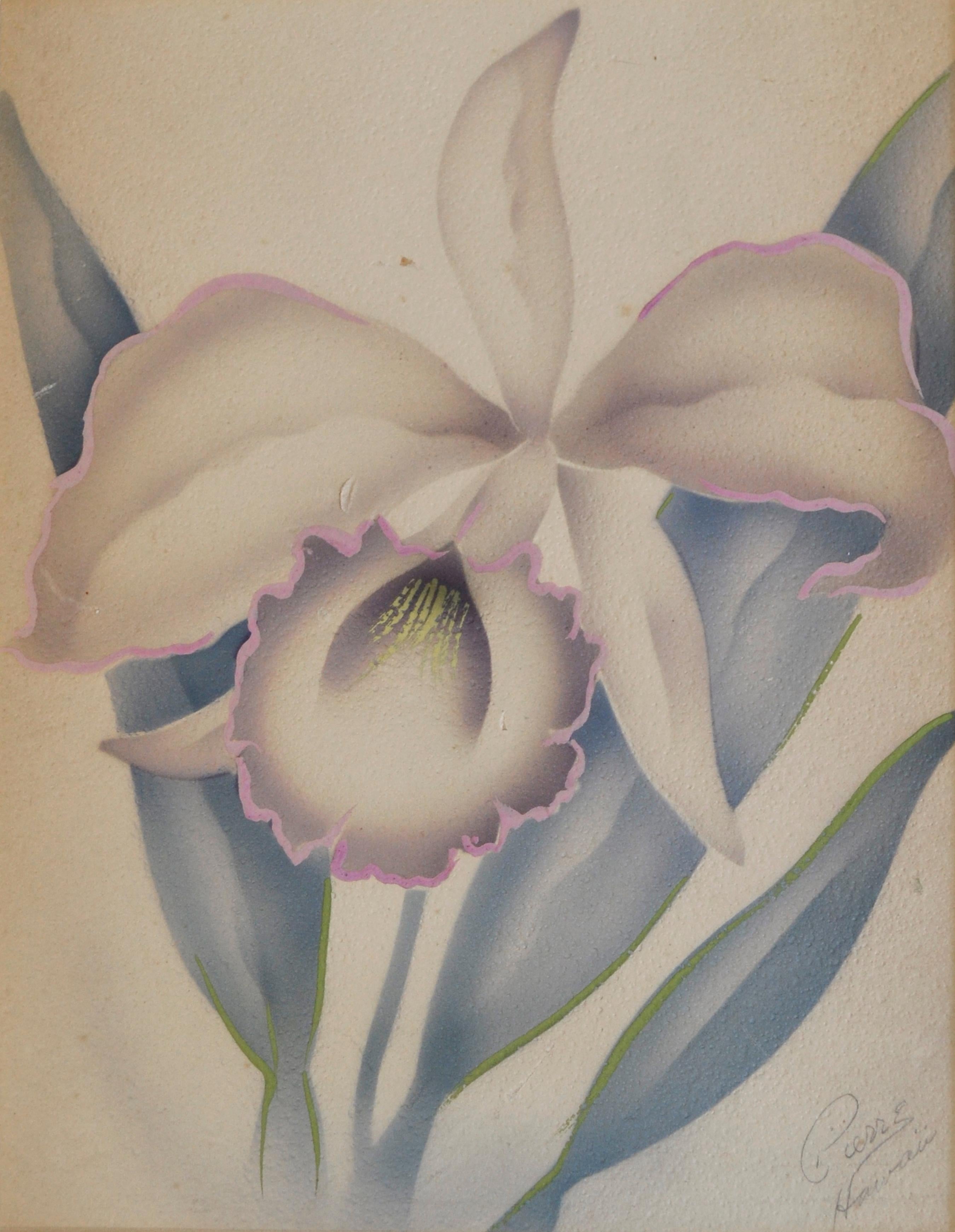 Mid Century Art Deco Hawaiian Orchid Watercolor, Floral Study - Painting by Pierre