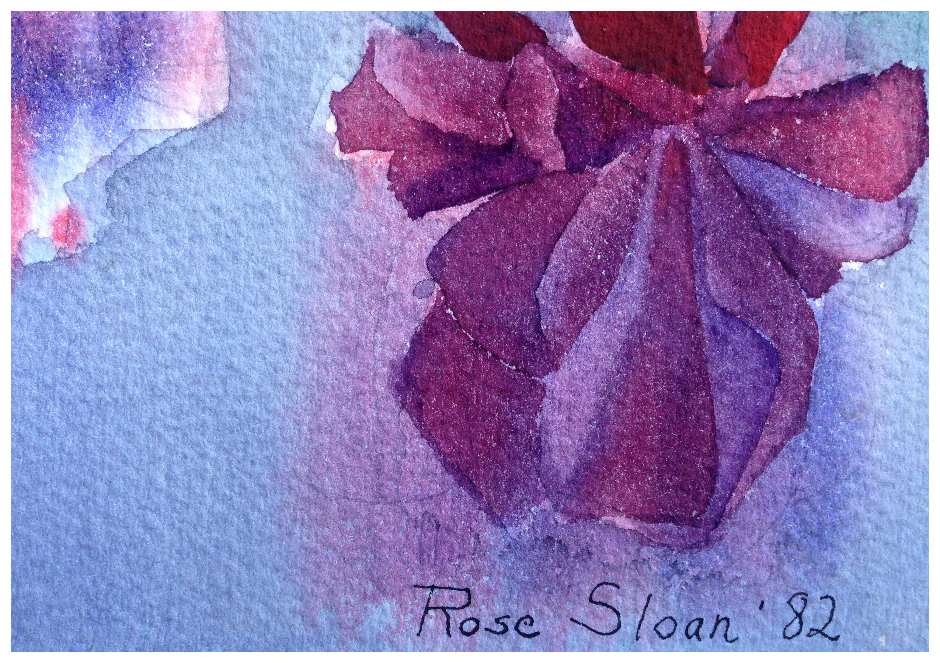Hängendes Fuchsia-Stillleben  (Blau), Landscape Painting, von Rose Sloan 