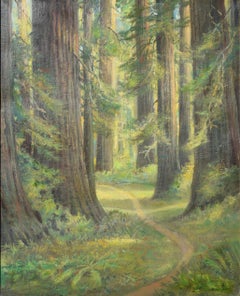 Mid Century California Redwood Forest Trail, Path in the Woods Landscape