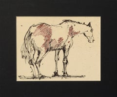 Vintage Mustang Horse Drawing