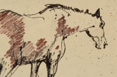 Disegno del cavallo Mustang