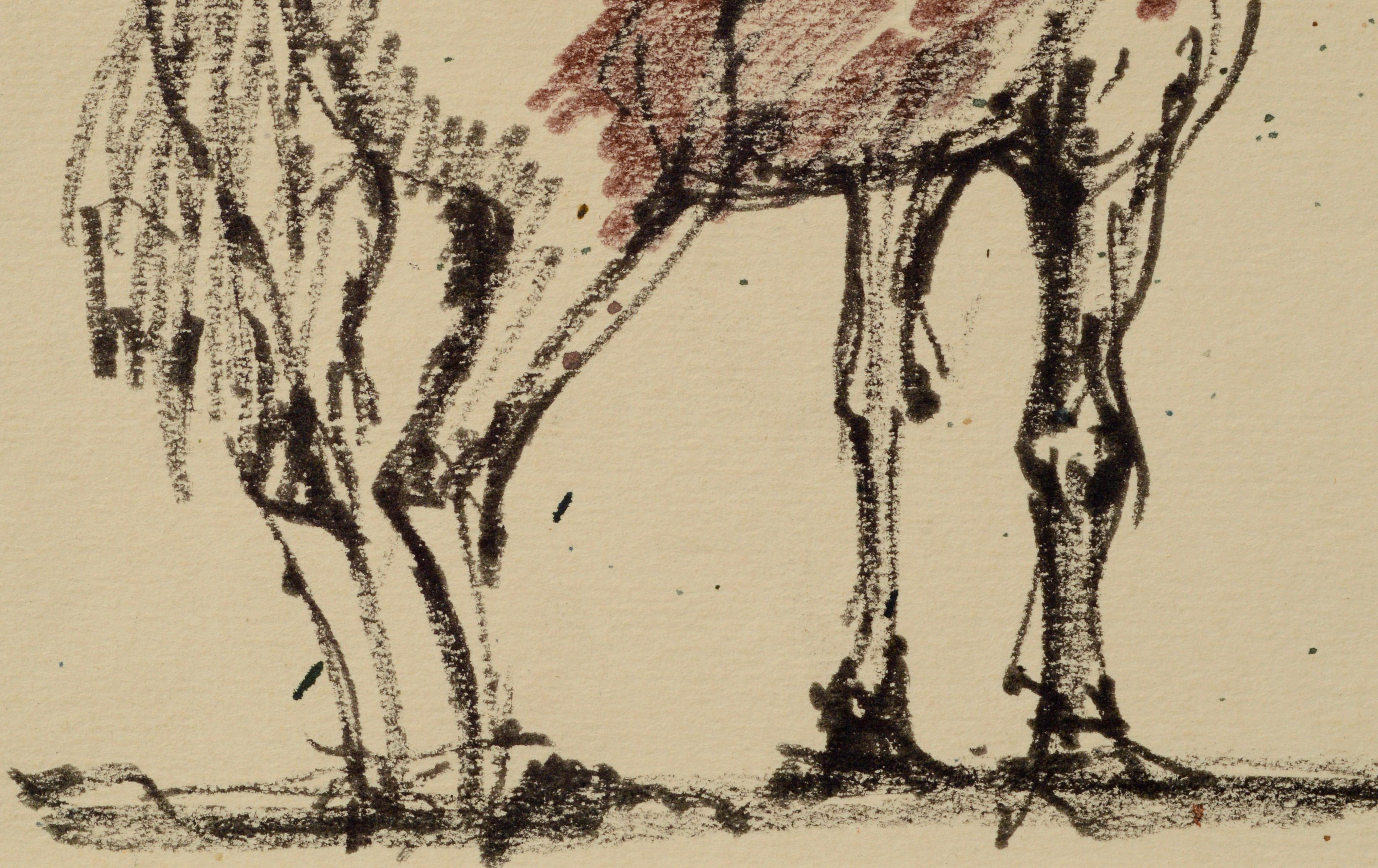mustang horse drawings